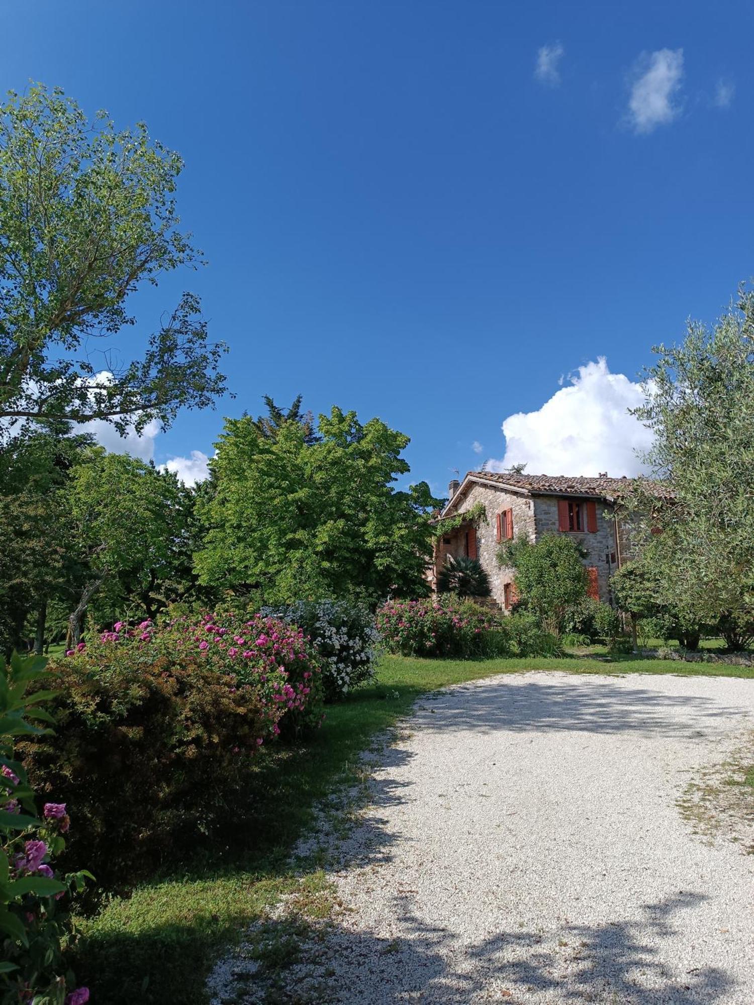 Pilgrim Rooms Губио Екстериор снимка