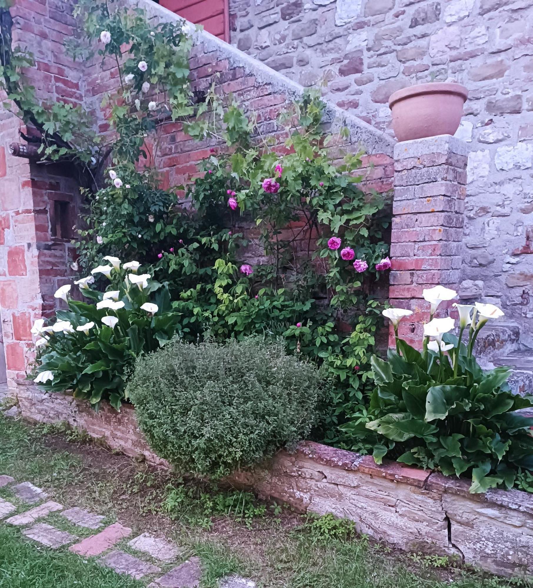 Pilgrim Rooms Губио Екстериор снимка